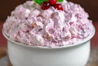Cranberry Cloud Delight