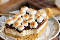 Dreamy No Bake Smores Cheesecake Bars