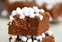 Cozy Hot Cocoa Fudge