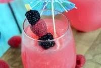 Frozen Raspberry Acai Fusion
