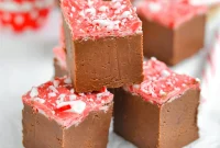 Mint Espresso Dream Fudge