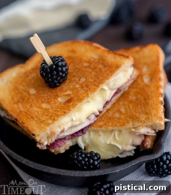 A vibrant blackberry brie grilled cheese sandwich, hinting at diverse recipes