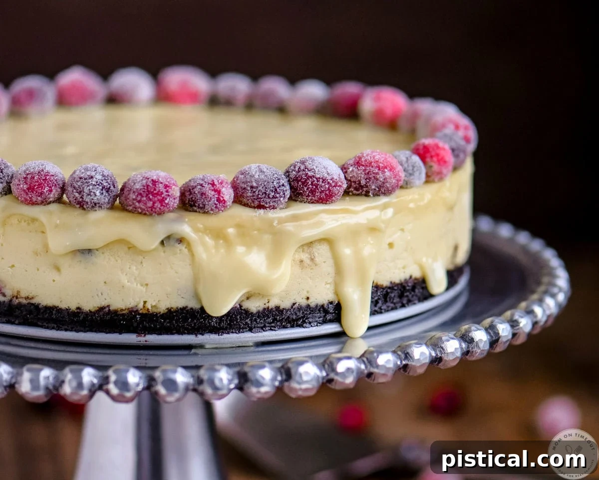 A wide shot of the stunning White Chocolate Cranberry Cheesecake, elegantly presented with sugared cranberries on a silver cake stand, showcasing its festive holiday appeal.
