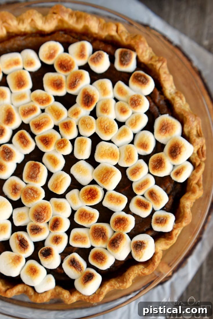 Close-up of a slice of Spiced Sweet Potato Pie topped with fluffy, golden-brown marshmallows, showcasing its creamy texture.