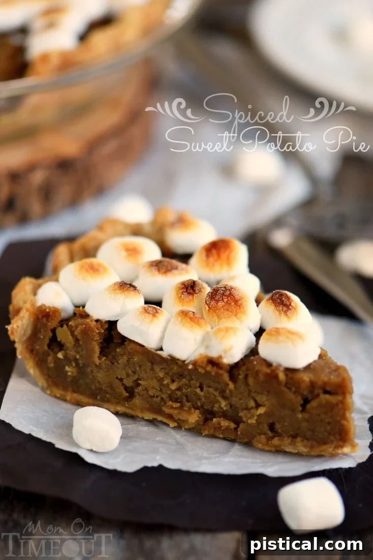 A close-up shot of the perfectly toasted, bubbly marshmallow topping on a freshly broiled spiced sweet potato pie.