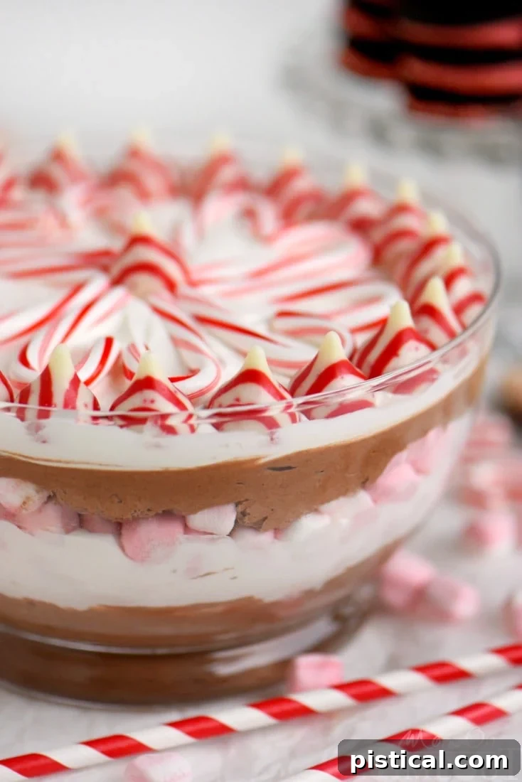 Festive Layered Peppermint Mocha Cheesecake Dip 4 This easy Layered Peppermint Mocha Cheesecake Dip will be the STAR of all your holiday parties! With it's fun, colorful layers, and 5 minute prep time, everyone wins!
