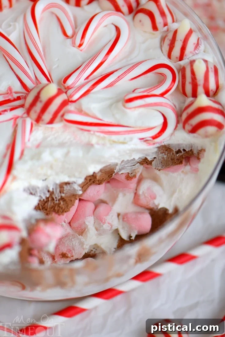 Festive Layered Peppermint Mocha Cheesecake Dip 7 This easy Layered Peppermint Mocha Cheesecake Dip will be the STAR of all your holiday parties! With it's fun, colorful layers, and 5 minute prep time, everyone wins!