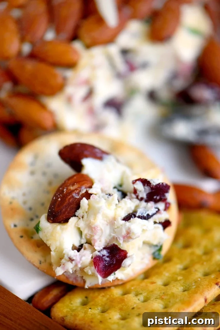 Close-up of the Cranberry Almond Cheese Ball, showing its texture and rich color, surrounded by crackers and fresh cranberries.