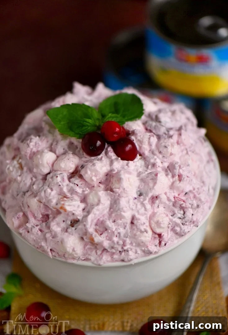 What your holiday table is missing! Cranberry Fluff is an easy dessert salad made with cranberries, pineapples, coconut and marshmallows. No one can resist this beautiful and scrumptious dessert!
