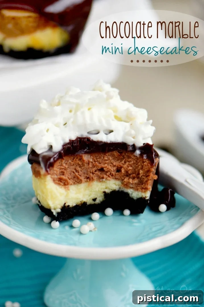 mini cheesecakes with chocolate ganache topping
