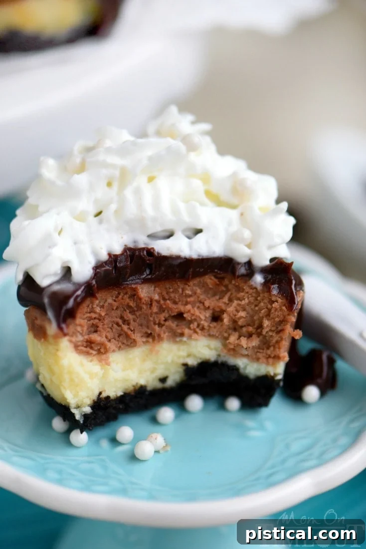 mini cheesecake with bite taken out of it topped with whipped cream