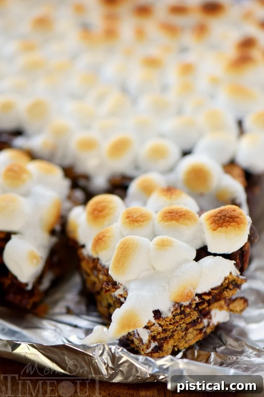 A delicious S'mores Cereal Bar held in hand, showing the perfectly toasted marshmallow topping and the crispy cereal base.