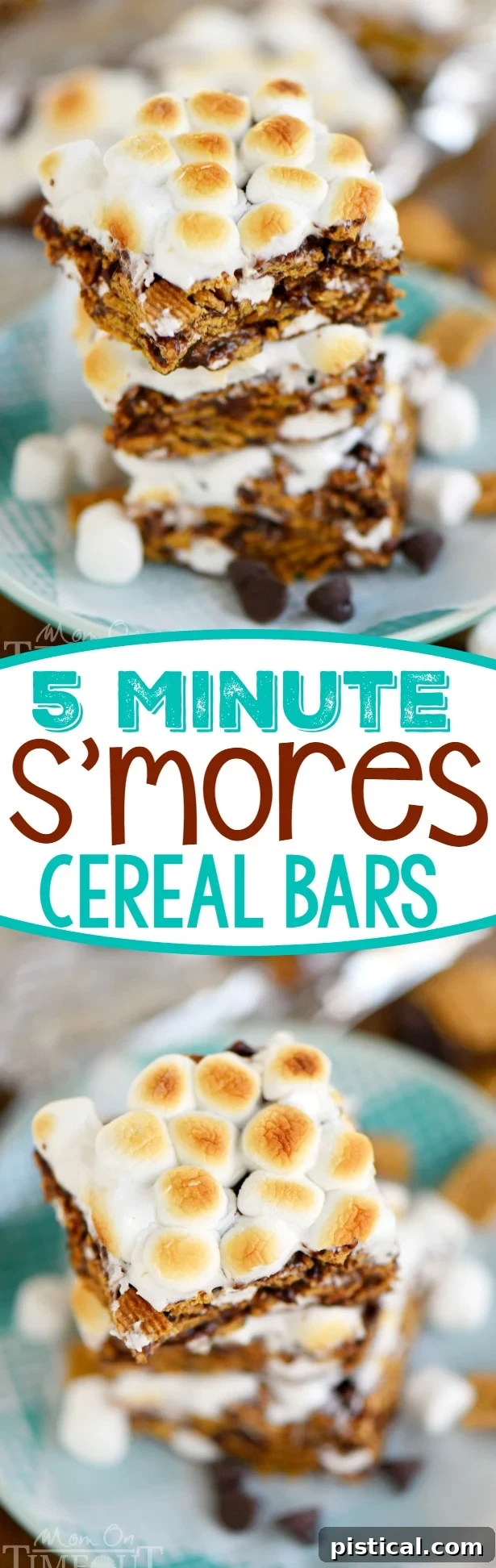 A festive dessert platter featuring a variety of s'mores inspired treats, perfect for a party or family gathering.