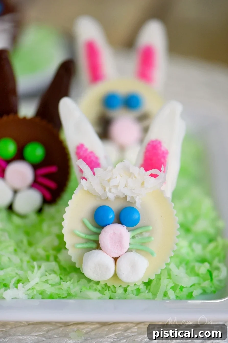 Variety of Reese's Easter Bunnies showcasing different color combinations