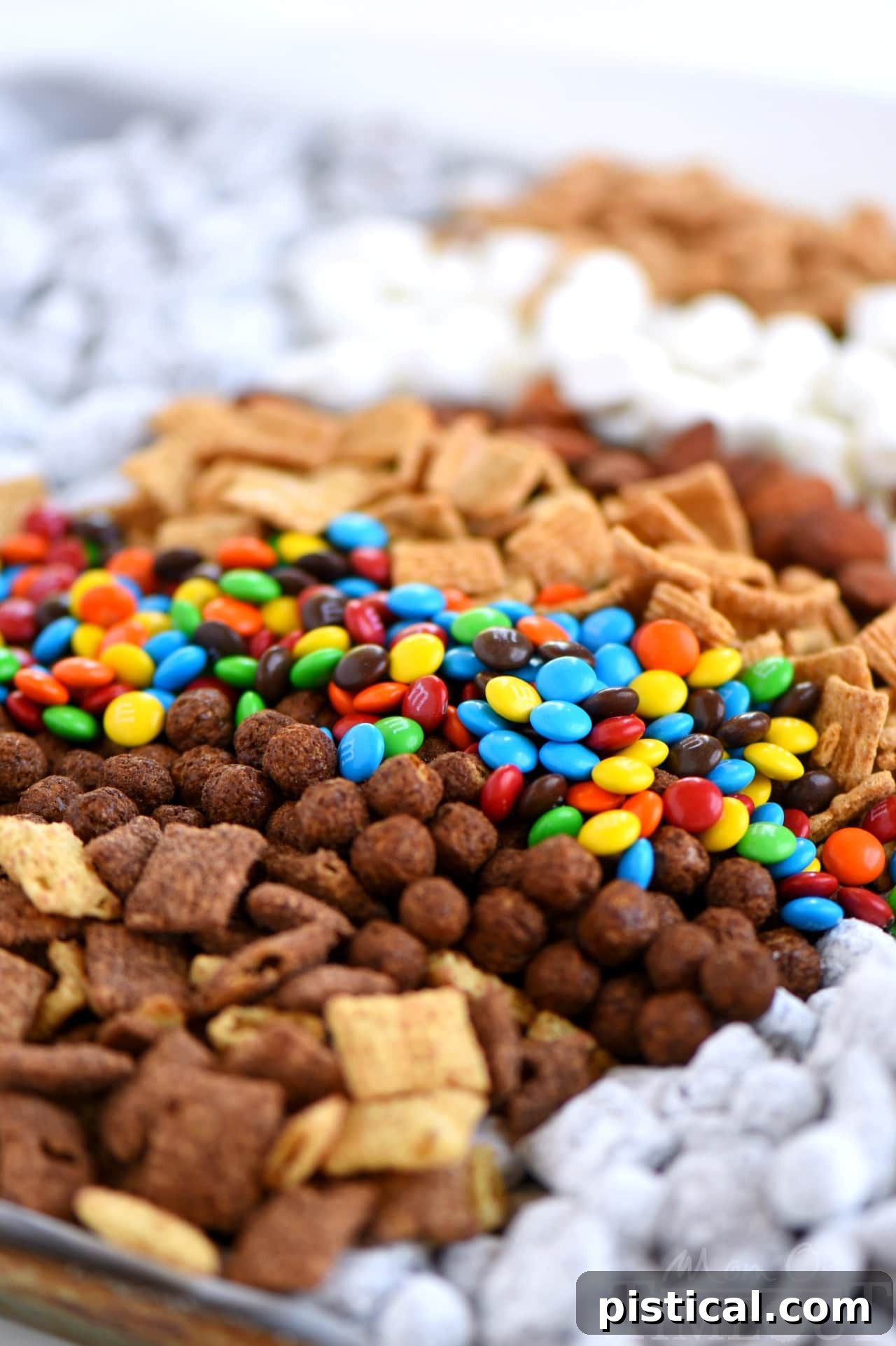 Close-up of Monster S'mores Muddy Buddies in a bowl showing variety of ingredients