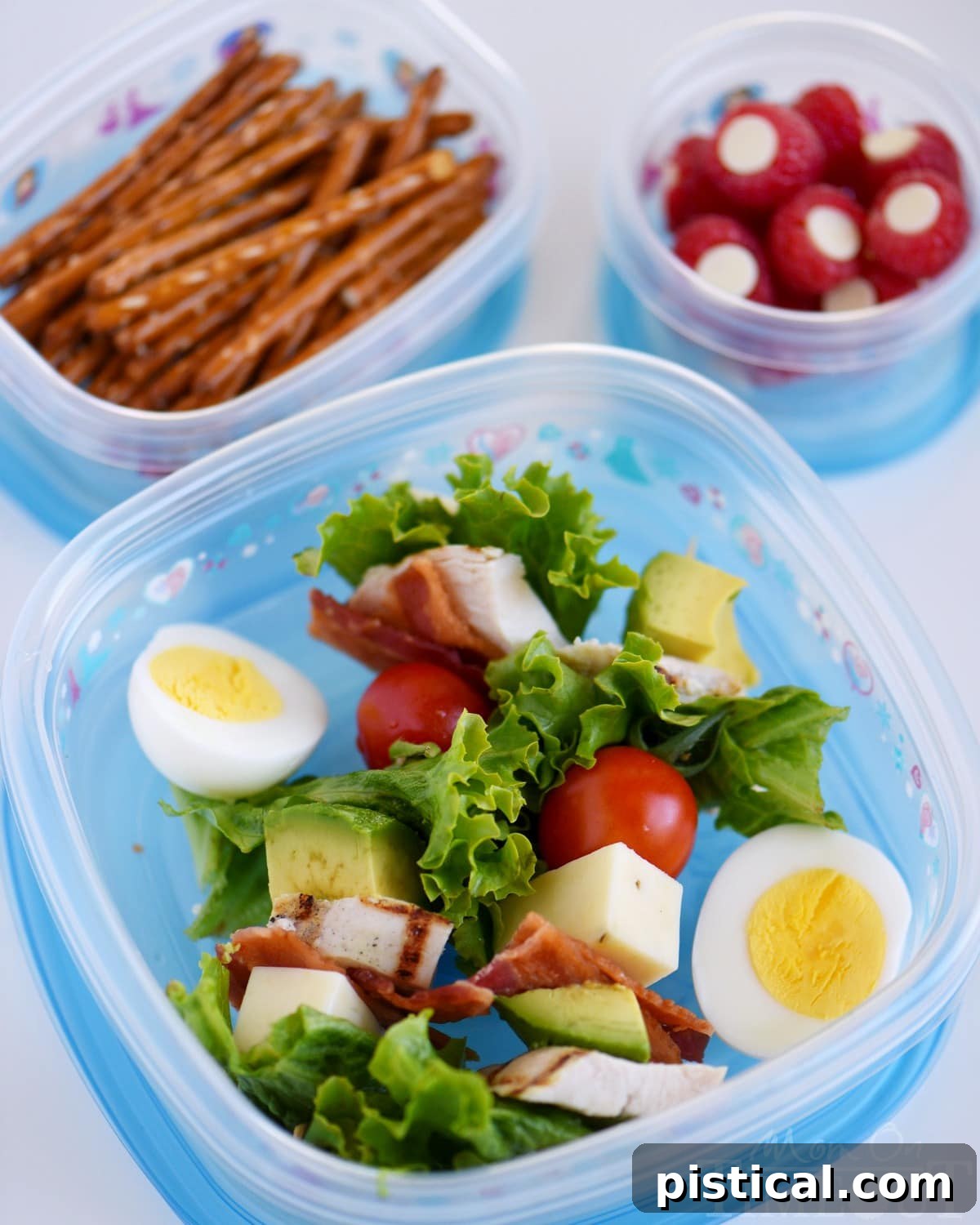 Fun & Easy School Lunch Skewers 5 chicken-cobb-kabob-lunch-2