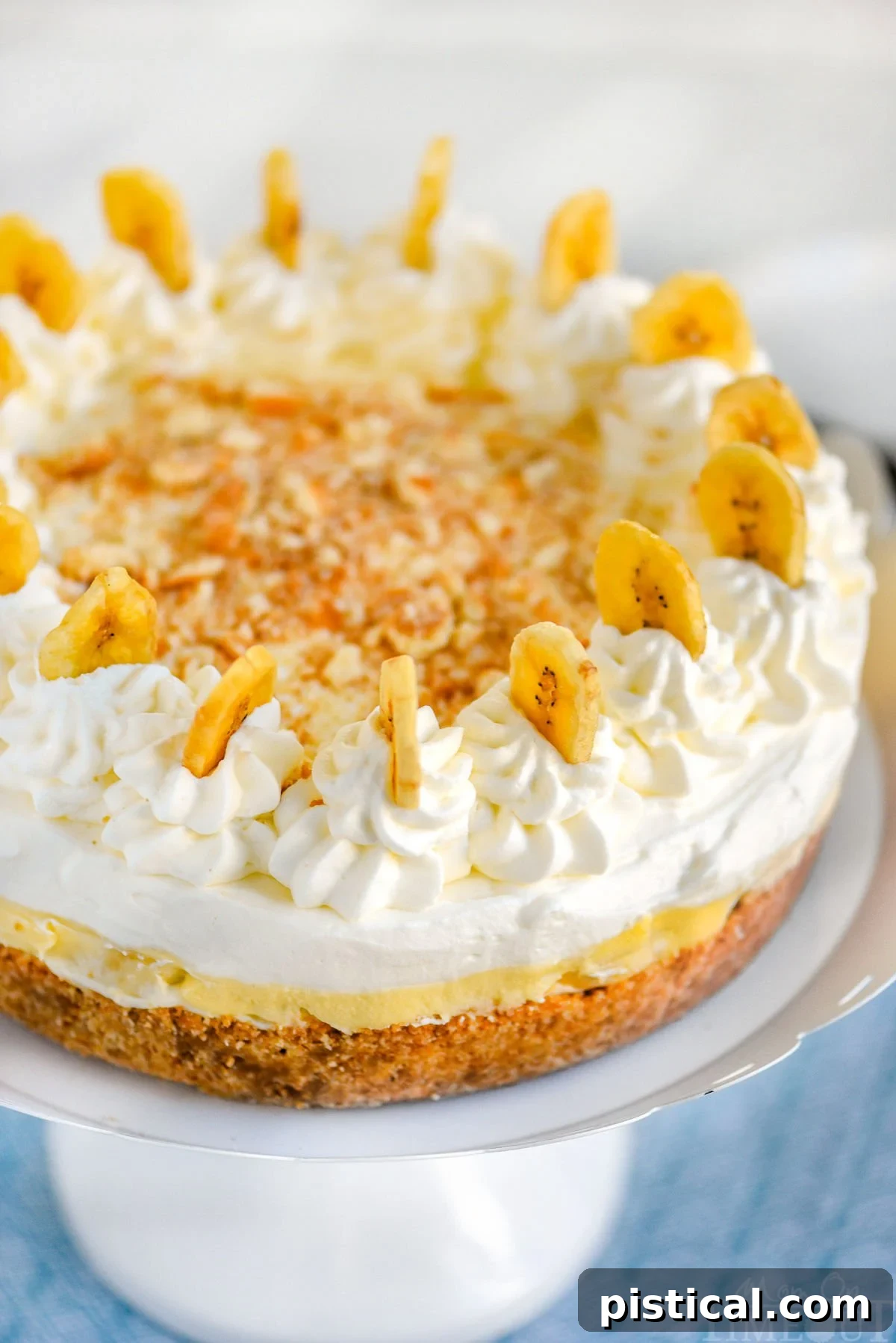 Velvet Banana Pudding Cheesecake 5 Top down angled view of the garnish on the banana cream cheesecake that includes banana chips, fresh whipped cream and cookie crumble.