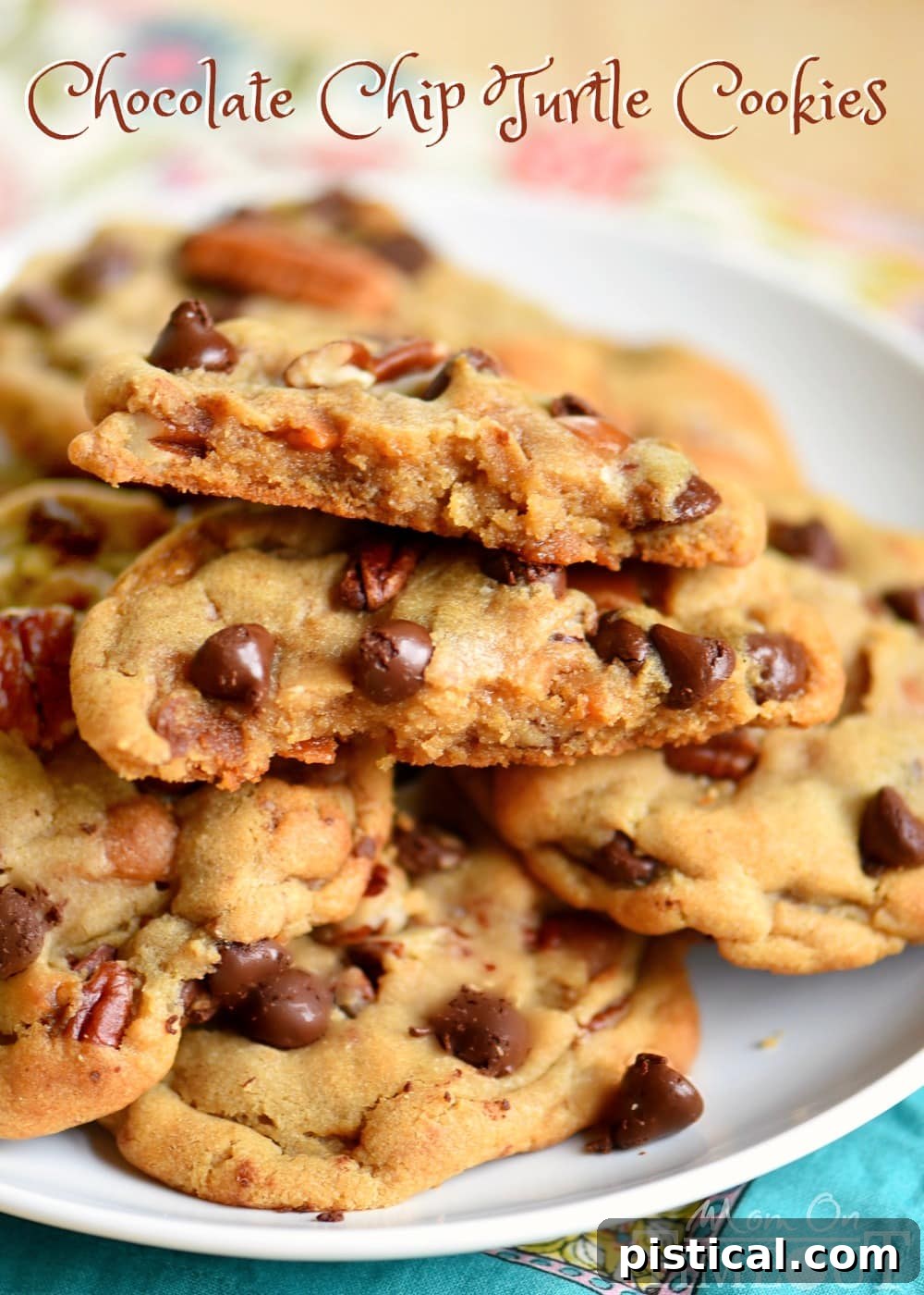 Single Chocolate Chip Turtle Pudding Cookie on a plate.