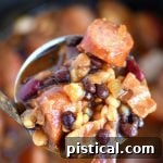 slow-cooker-kielbasa-barbecue-beans