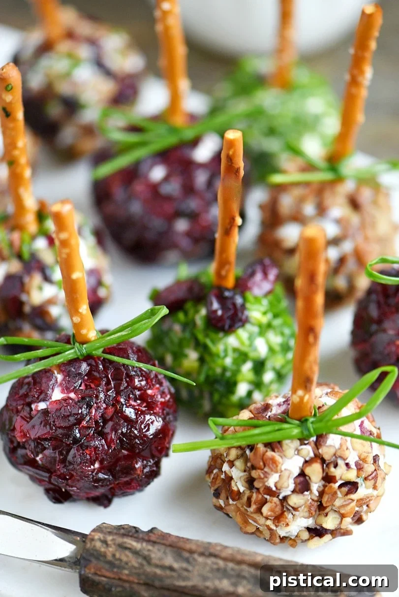 Sweet and Tangy Cranberry Pecan Goat Cheese Truffles 6 Hand holding a Cranberry Pecan Mini Goat Cheese Ball with a pretzel stick, showing off the beautiful cranberry coating and making it easy to grab and enjoy.