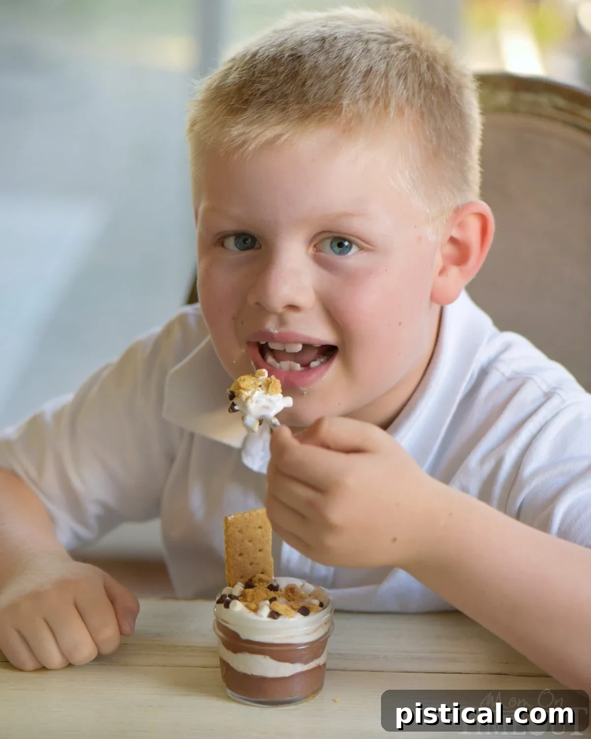 Close-up of S'mores Pudding Parfaits with layers clearly visible, topped with chocolate chips and mallow bits.