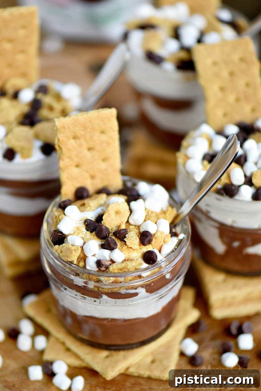 A beautifully presented S'mores Pudding Parfait in a glass, ready to be enjoyed.