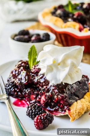 A beautiful Fresh Blackberry Glacé Pie, featuring a rich, glossy blackberry filling set in a golden crust, topped with whole fresh berries.