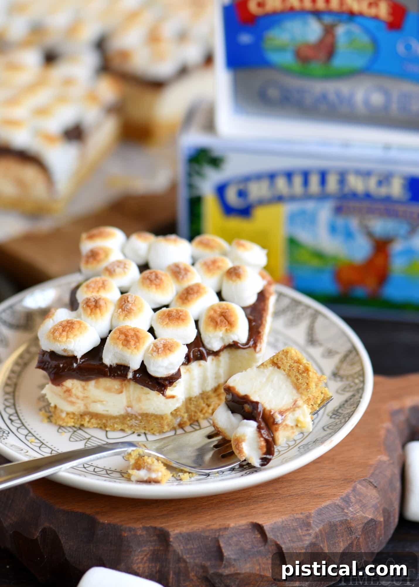 Close-up of no-bake s'mores cheesecake bars, showing the layers of graham cracker crust, creamy marshmallow cheesecake, smooth chocolate ganache, and mini marshmallows on top.