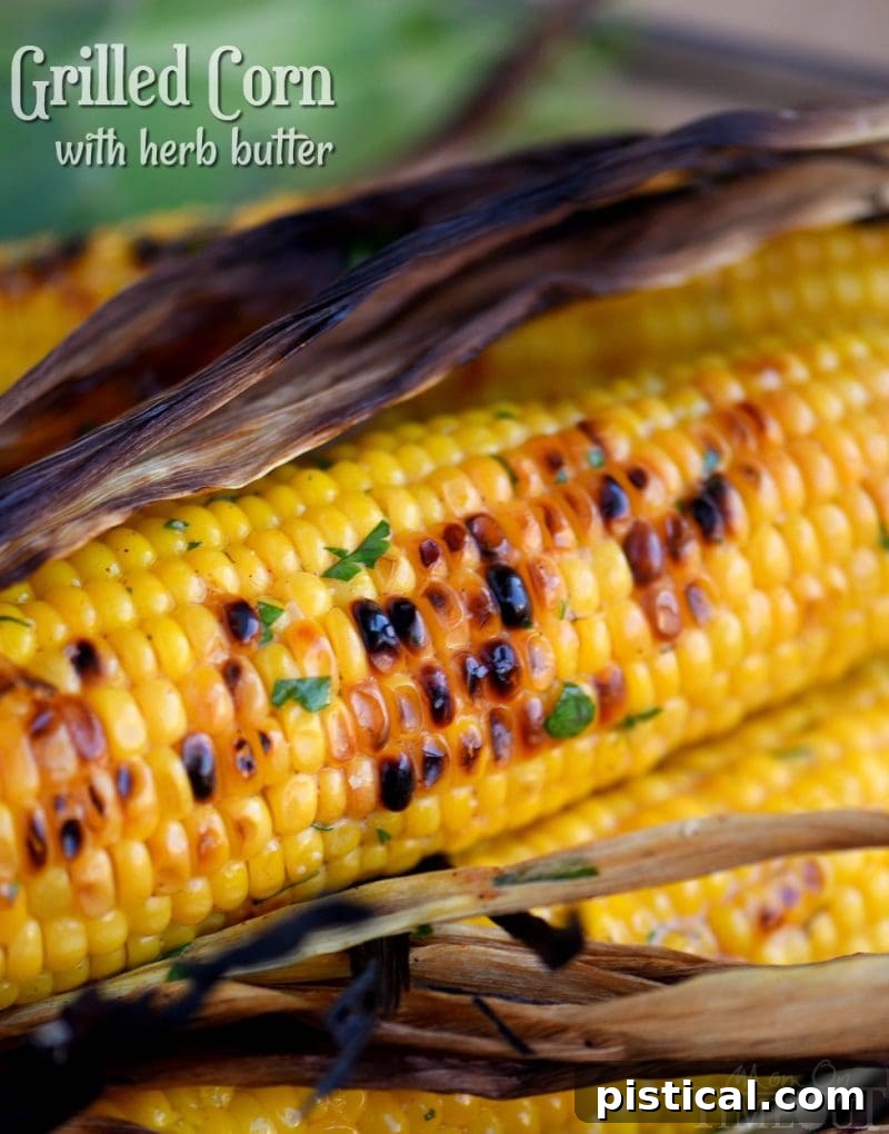 Delicious grilled corn on the cob generously coated with homemade herb butter, perfect for summer barbecues.