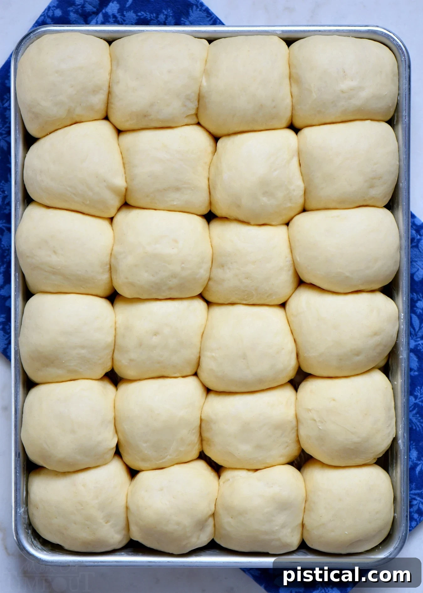 Dinner rolls dough balls on a sheet pan, ready for the second rise