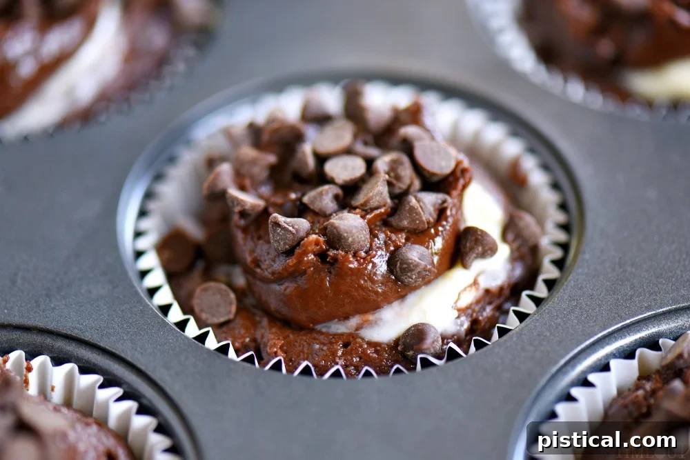 chocolate-chip-muffin-recipe-ingredients