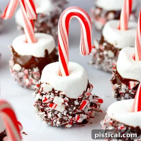 Candy Cane Marshmallow Pops Delightful candy cane marshmallow pops, featuring fluffy marshmallows dipped in luscious chocolate and generously coated with crushed candy cane pieces, presented on festive sticks.