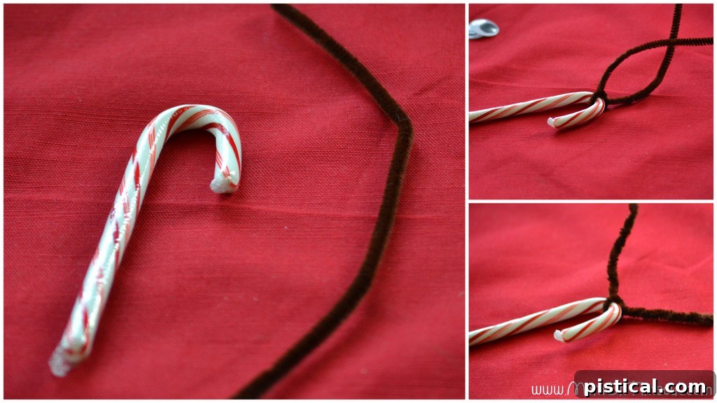 Candy Cane Reindeer Antler Creation Part 1 First step of candy cane reindeer craft: tying a fuzzy stick for antlers.