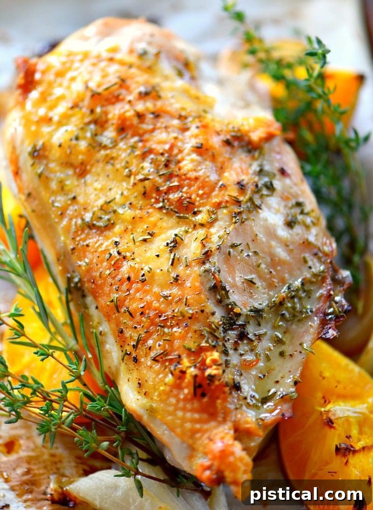 Close-up of a beautifully roasted turkey breast, showcasing its crispy skin