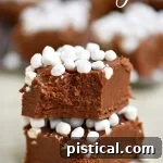 Hot Cocoa Fudge