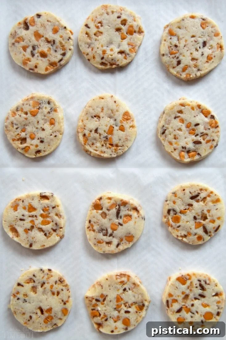 Freshly baked butterscotch shortbread cookies cooling on parchment paper on a baking sheet