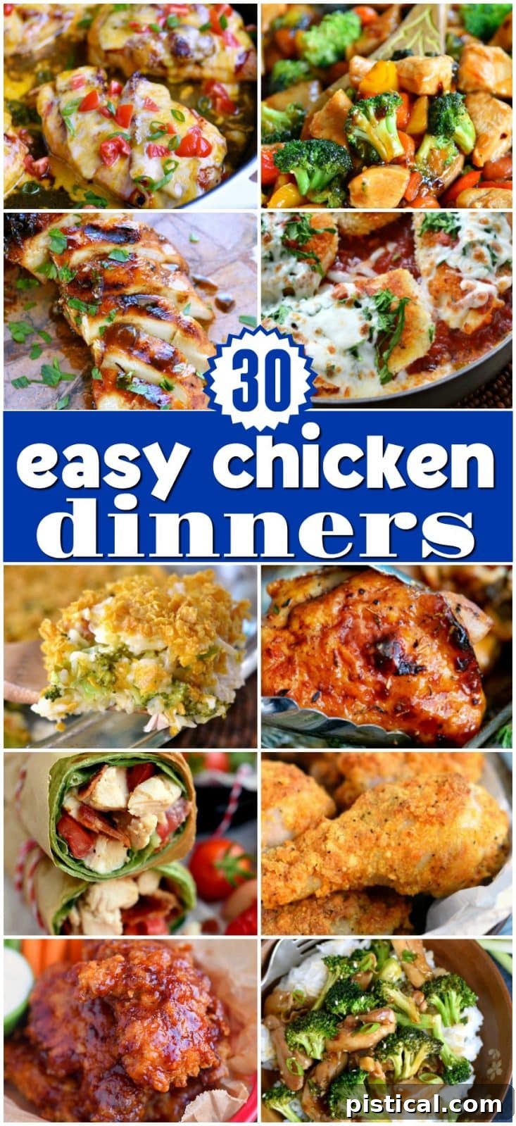 A comprehensive collection of diverse chicken recipes for dinner, showcasing various cooking methods and ingredients.