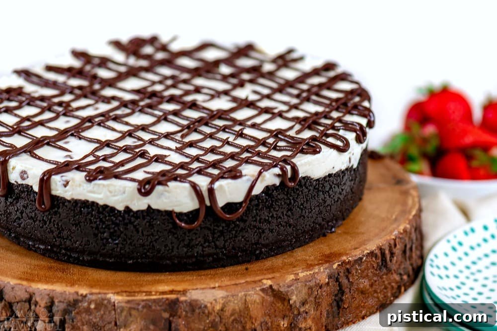 Indulge in a whole No-Bake Chocolate Chip Cheesecake, a perfect treat for any occasion. Whole chocolate chip no-bake cheesecake with a golden Oreo crust and rich chocolate ganache.