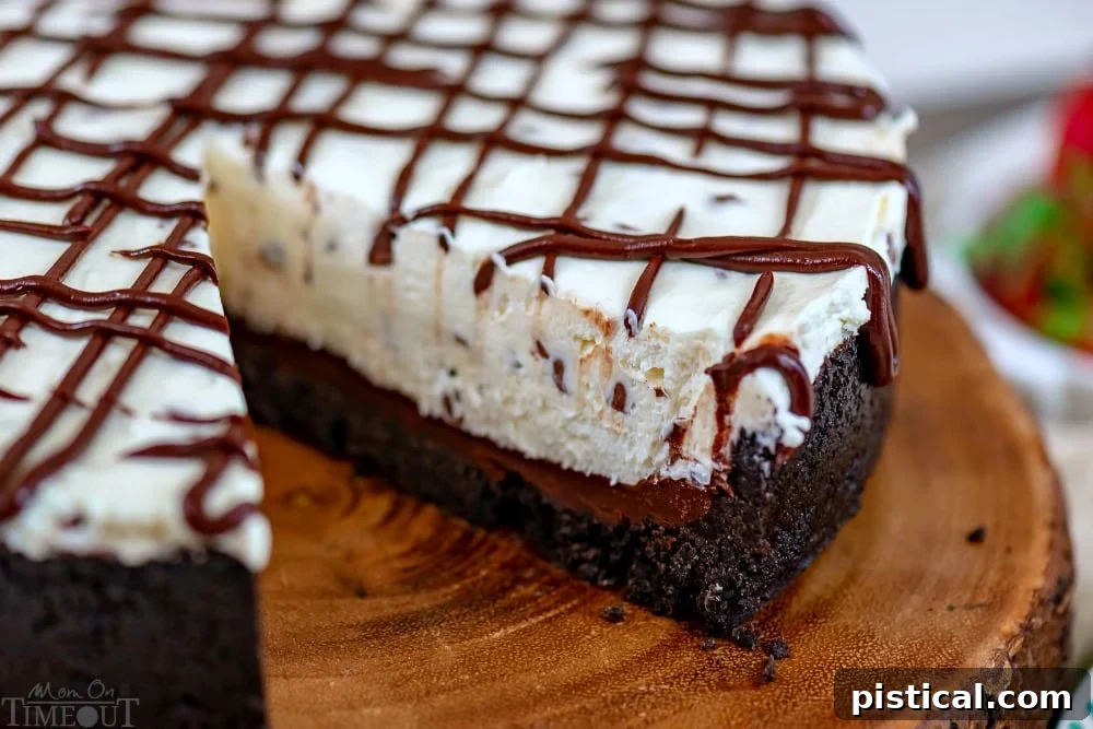 Explore the beautiful layers of this No-Bake Chocolate Chip Cheesecake. A slice removed from a whole no-bake chocolate chip cheesecake, revealing its distinct layers of Oreo crust, ganache, and creamy filling, with a ganache drizzle on top.