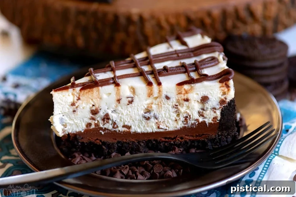Chocolate Chip No-Bake Cheesecake: A delightful and easy-to-make dessert. A perfect slice of chocolate chip no-bake cheesecake showcasing its delicious layers and creamy texture.