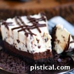 Decadent Chocolate Chip No Bake Cheesecake 2 A delicious slice of chocolate chip no-bake cheesecake on a plate, topped with mini chocolate chips.