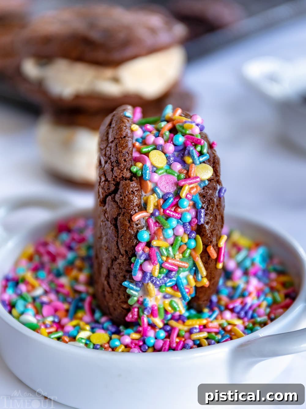 Ice cream sandwich rolled in colorful sprinkles