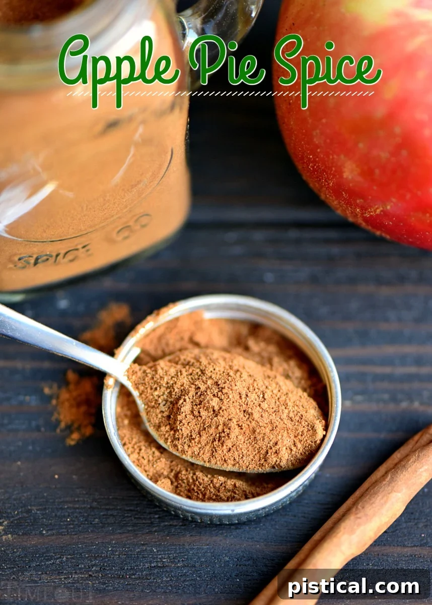 Homemade Apple Pie Spice Mix Spoonful