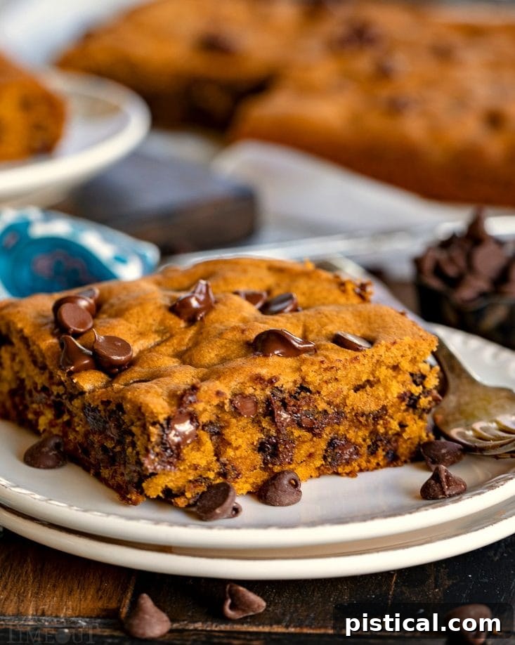 Single slice of pumpkin sheet cake with chocolate chips on a white plate