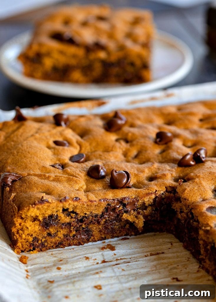 Whole pumpkin cake with a slice removed, showing moist interior and chocolate chips