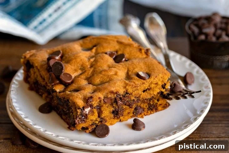 Delicious pumpkin spice cake with melted chocolate chips on top