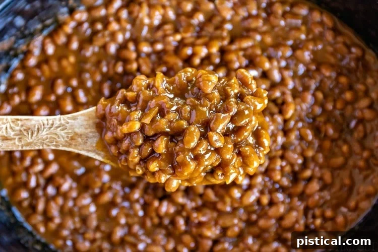Homemade baked beans simmering in a slow cooker, ready to be served on a rustic wooden spoon.