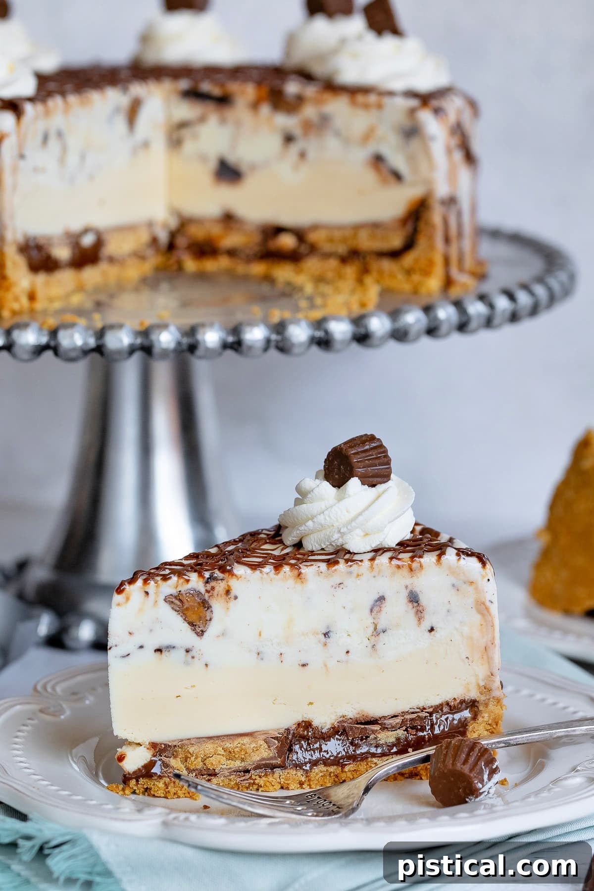 A perfectly sliced piece of Chocolate Peanut Butter Ice Cream Cake served on a pristine white plate, showcasing the beautiful, frozen layers.