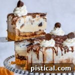 Chocolate Peanut Butter Ice Cream Cake