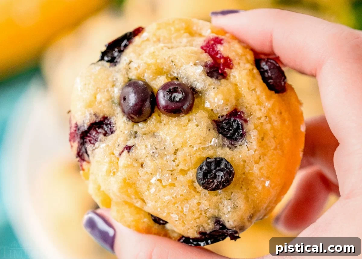 Holding a freshly baked blueberry corn muffin in hand, showcasing its golden exterior and visible blueberries